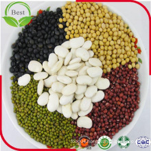 Low Price Non GMO Soya Beans